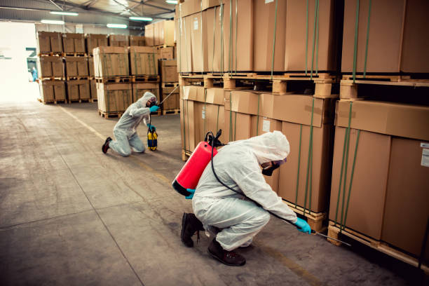 Best Ant Control Services  in Frostproof, FL