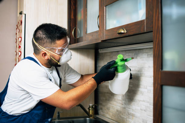 Best Wasp Removal Services  in Frostproof, FL