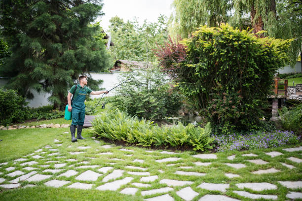 Best Pest Removal Services  in Frostproof, FL