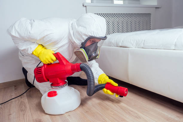 Best Wasp Removal Services  in Frostproof, FL