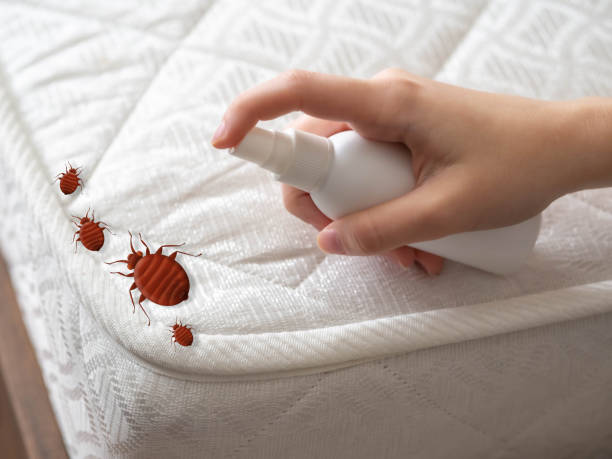 Best Affordable Pest Control Services  in Frostproof, FL